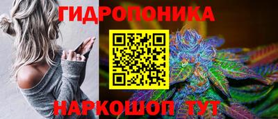стафф Краснодар