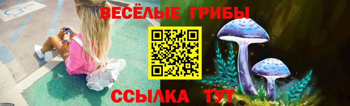 Галлюциногенные грибы Cubensis  купить наркотики сайты  Тула  Псилоцибиновые грибы Psilocybine cubensis  Вход с VPN 
